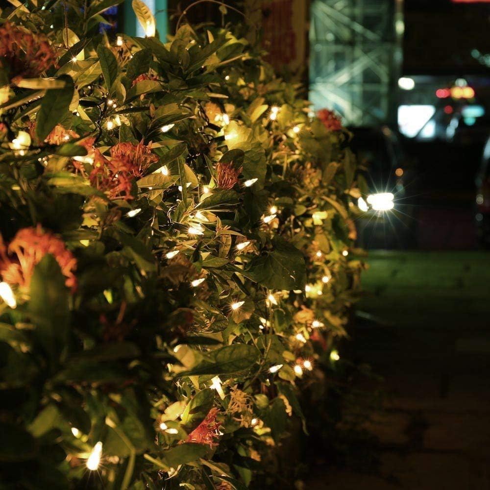 Brizled Christmas Lights Warm White, 2 Pack 33ft 100 LED Christmas String Lights, 120V UL Certified Connectable Xmas Tree Lighting Mini Xmas Light Set for Holiday Tree Home Party Indoor Outdoor Decor